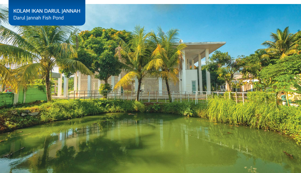 Kolam Ikan